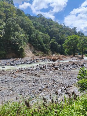 Su baskınından kalan odun parçaları