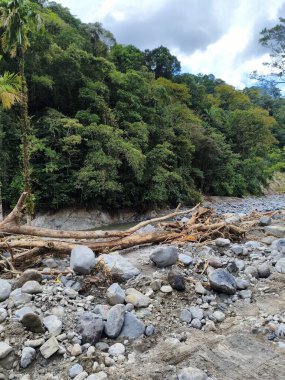 Su baskınından kalan odun parçaları