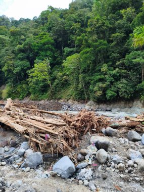 Su baskınından kalan odun parçaları