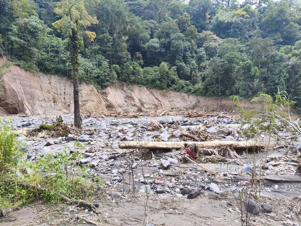 Su baskınından kalan odun parçaları