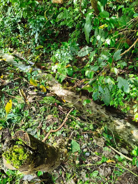 Temiz ve temiz su akışı