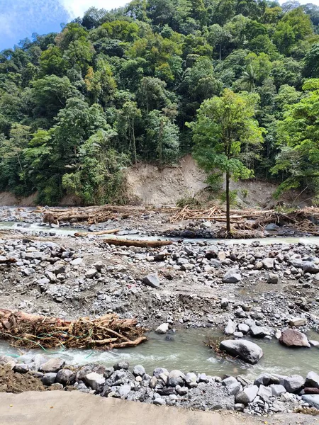 Su baskınından kalan odun parçaları