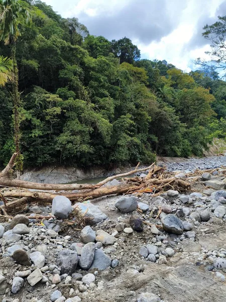 Su baskınından kalan odun parçaları