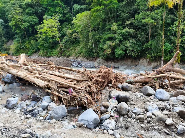 Su baskınından kalan odun parçaları