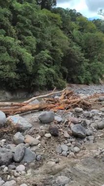 Su baskınından kalan odun parçaları