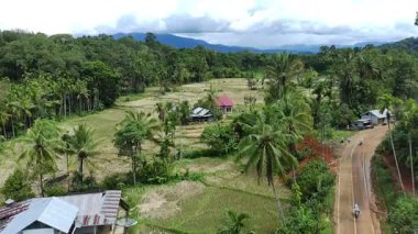 Güzel köyler ve pirinç