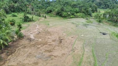 Yağmur suyuna bağlı heyelan