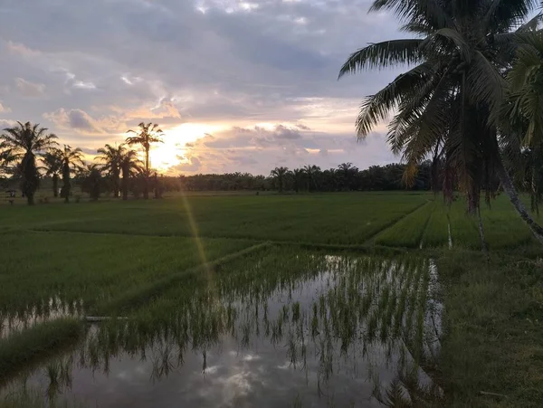 Gölün üzerinde güzel bir gün batımı
