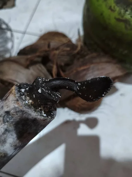 Şöminede yanan ateş