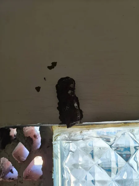 Beyaz ve kahverengi bir boyanın yakın plan çekimi.