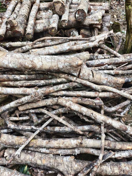 Yerdeki tahta kütükler.