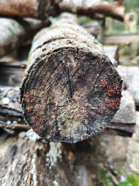 Eski ahşap doku arkaplanı