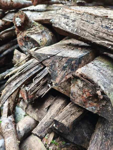 Ormanda yakacak odun. Yakacak odun Yakacak odun arkaplan.