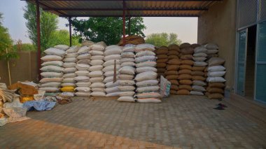 Kasım 20- Mahroli, Jaipur, Hindistan / Beyaz tahıl çuvalı yığını, tahıl pazarında tutuluyor. Tahıl ithalatı ve ihracatı için devlet tahıl ticaret merkezi.