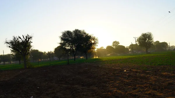 Sonnenuntergang Schöne Aussicht Auf Leere Landwirtschaftliche Feld Der Sonne Versteckt — Stockfoto