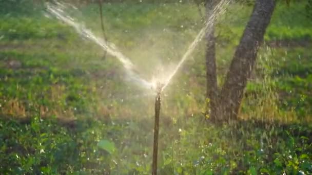 Glowing View Automatic Water Sprinkler System Water Sprinkler System Working — Stock Video