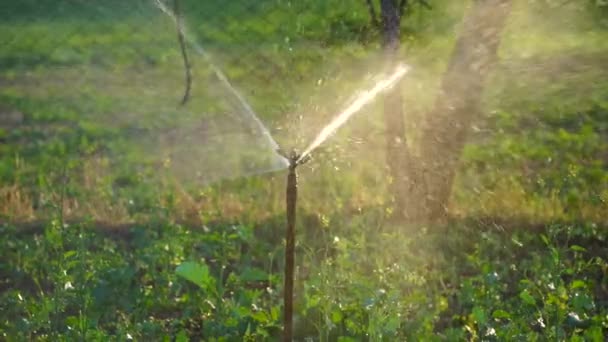 Экстази Вид Автоматического Водяного Дождевателя Полива Зеленом Ландшафте Небольшими Капельками — стоковое видео