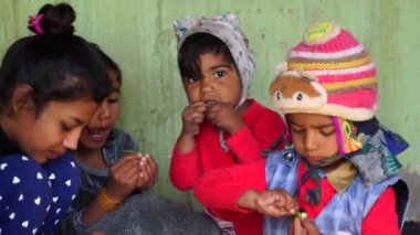 Kış mevsimi, tatlı küçük çocuklar mutfakta oturup bezelye kabuklarını temizler. Çekici çocuk bezelye yiyor..