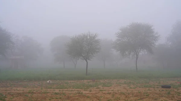 Vista Sul Paesaggio Rurale Con Foschia Attraente Nebbia Che Cade — Foto Stock