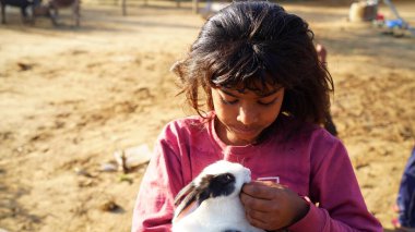 10 Ocak 2021 - Reengus, Jaipur, Hindistan. Sevgisini sevimli bir tavşanla gösteren kız. Tavşan kızın elinden zevk alıyor ve kameraya bakıyor..