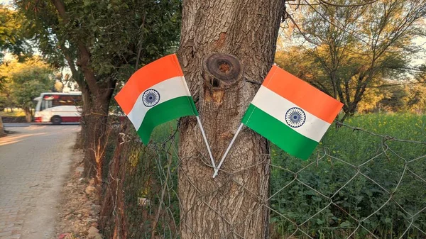 Drapeau Victoire Inde Drapeau National Sur Tronc Arbre Vue Rapprochée — Photo