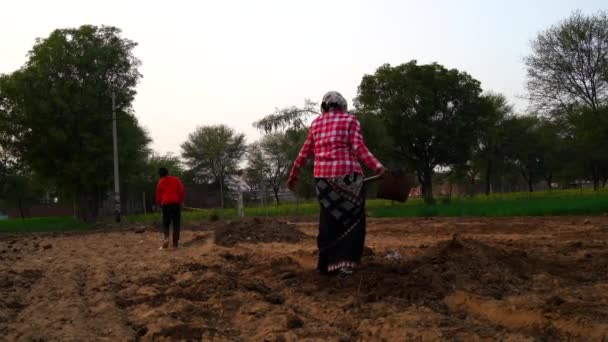 Mujer india trabajadora, su pequeño hijo. Abono orgánico para el suelo de abono, preparando el campo para la siembra en invierno. — Vídeos de Stock