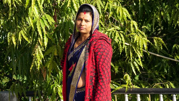 美しいです女性で伝統的な民族衣装でAビンディまたはKumkum額に緑色の葉の背景を持つカメラを見て — ストック写真