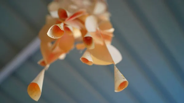 Красивый Ручной Работы Вечный Сухой Венок Пластиковыми Лентами Красивый Цветок — стоковое фото