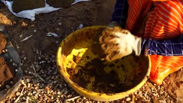 Traditionele Indiase vrouw die koeienstrontkoekjes maakt. Biologische ambachtelijke kunst om Indiase chips te maken. — Stockvideo