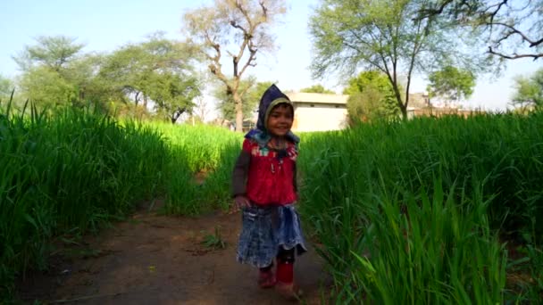 God morgon, lilla indiska flicka som springer på grönt fält i traditionell klänning. — Stockvideo