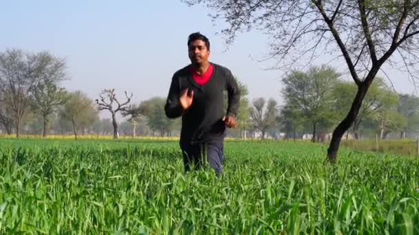 Feliz chico indio activo en la carrera. Alegre hombre de mediana edad disfrutando de la naturaleza verde ambiente. — Vídeos de Stock