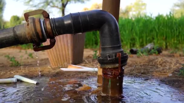 Sipping water from plastic pipe. Broken pipe leakage and wasting water in flow. — Stock Video