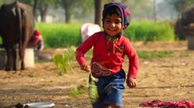 Moringa ağacından çiçekleri olan neşeli bir çocuk ve çıplak ayakla park alanında eğleniyor. Asyalı çocuğun hoş yüz ifadesi..
