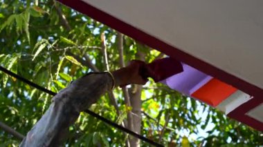 Hintli ressam yenileme binası için duvar dokusuna renk boyası yapıyor. Duvar dokusunda farklı renk sanatı.