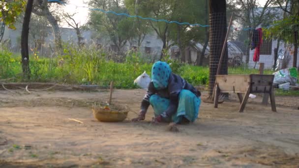 Mujer barrer suelo de arcilla con escoba y recoger basura en el basurero de plástico. Concepto de limpieza diaria. — Vídeos de Stock