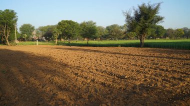 Kuzey Hindistan 'da ekinsiz çöl arazisi. Çiftçilerin yasa tasarısı protestosu yüzünden Hindistan tarım ekonomisinde büyük bir daralma var. Çiftçi protesto kavramı.