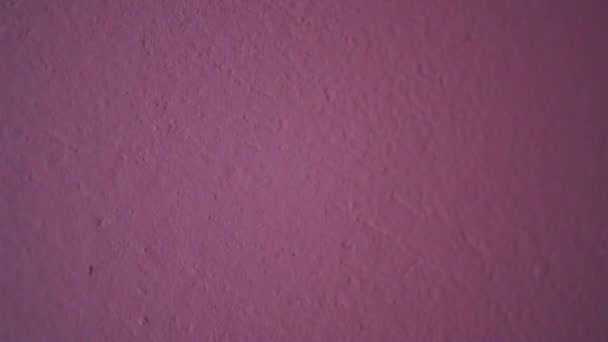 Solide rosa Farbe an der Wand. Schöne dekorative künstlerische Wand Zimmer aus nächster Nähe. Rosa Oberfläche der Zementwand. — Stockvideo