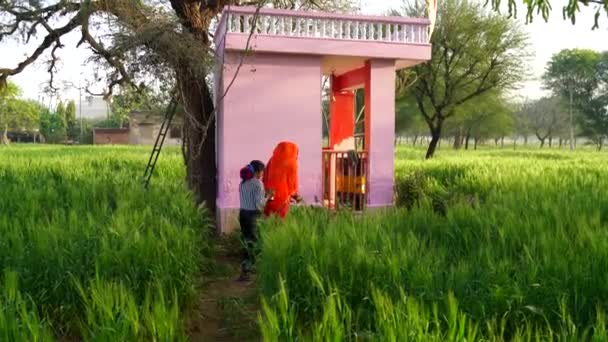 Indische Familie, die Tulsi oder Ocimum tenuiflorum heiliges Wasser anbietet. Tägliche Routinearbeit zur Erinnerung an Gottes Konzept in der hinduistischen Kultur. — Stockvideo