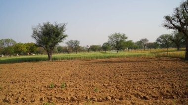 Tarlaları olmayan ıssız bir arazi. Verimsiz arazi, susuzluktan dolayı kapanıyor. Su tasarrufu hayat kurtarma kavramı.