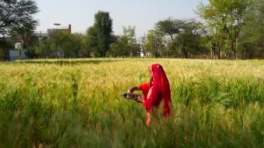 Geleneksel giyimli Hindu kadın. Elinde kutsal bir tabakla tapınağa giden bir kadın..