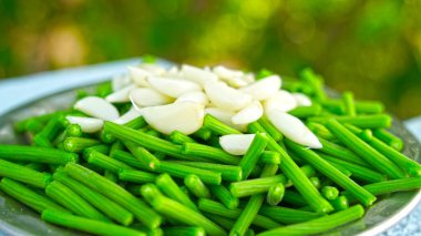 Macro little vegan pieces of Garlic or Allium Sativum with moringa leaves. Healthy organic beans for vegetable recipe.