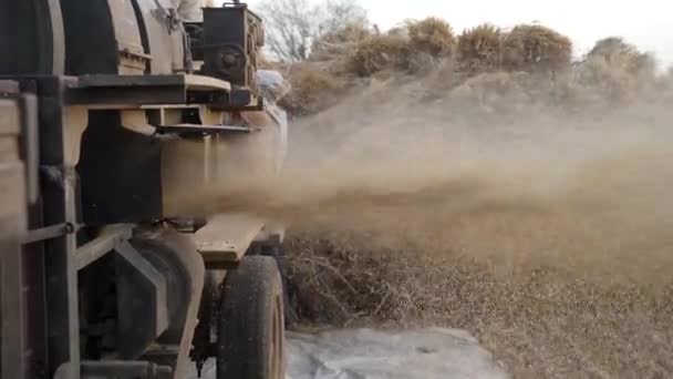 Cosecha de cultivos por máquina de trituración. Lanzamiento de la máquina en el trabajo y nubes de polvo que se extienden por el aire. — Vídeo de stock