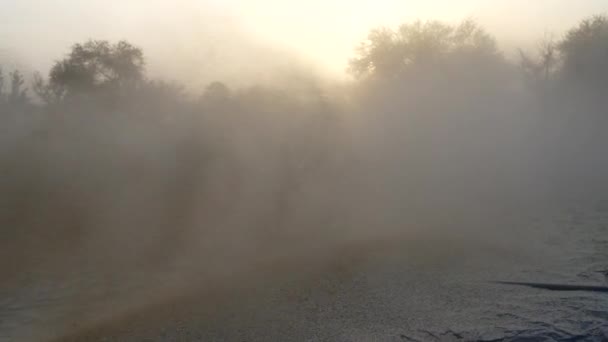 Pył paszy wiejącej w powietrzu podczas zbiorów. Kupa smogu unosząca się podczas bicia maszyny. — Wideo stockowe