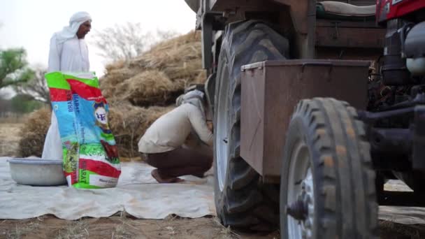 O grupo do fazendeiro está fazendo debulha de arroz. Temporada de colheita, Índia Cultura tradicional e estilo de vida. — Vídeo de Stock