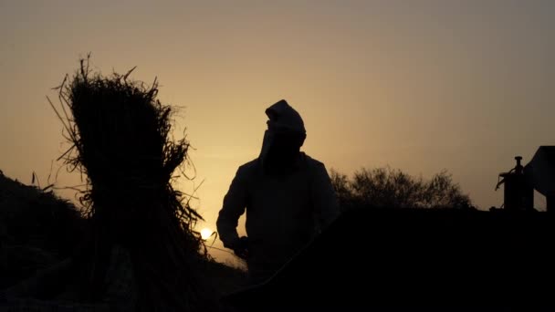 Kveldens mørke opptak av bønder som jobber i åkeren. Solen skjuler seg bak skyen med lys gul solnedgangbakgrunn. – stockvideo