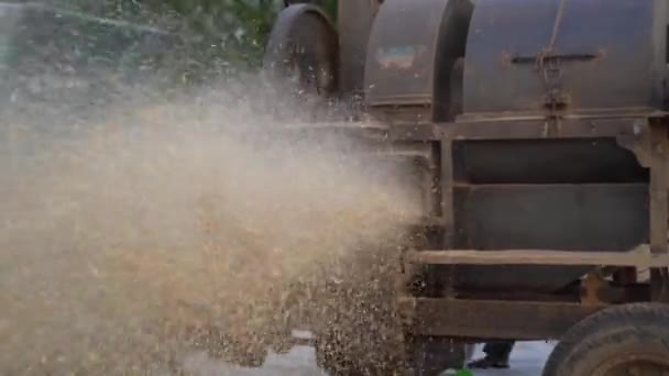 Filmato ravvicinato del grano del peddy dell'aria. Soffiaggio leggero di cereali da foraggio in aria e pulizia dalla macchina trinciatrice. — Video Stock