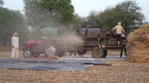 Traktör ve traktör yaz günü tahıl tarlasında çalışıyor. Havadaki tozlu yem. Birleştirmeye odaklan. — Stok video