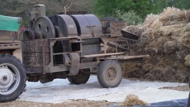 Traktör ve harman makinesiyle genç, pozitif çiftçi. Tarım alanında çalışan çiftçi.. — Stok video