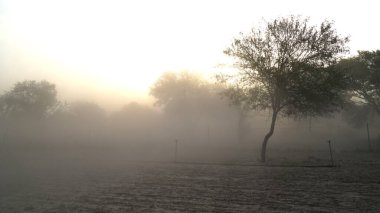 Küçük kum parçacıklarıyla havada süzülen kum fırtınası. Açık arazide güçlü rüzgarlarla kum fırtınası.