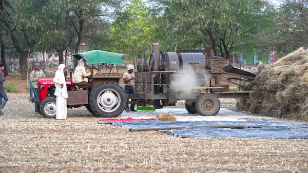 大麦またはライ麦をトラクター操作スレッサマシンを使用して茎から分離農村農家のグループ. — ストック写真